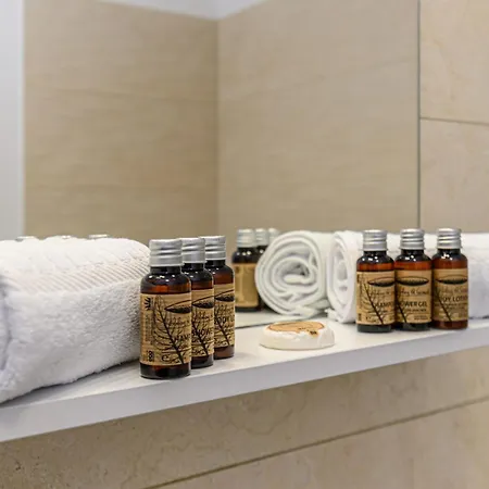 Sunny Loft & Parking 3 Apartment Brasov