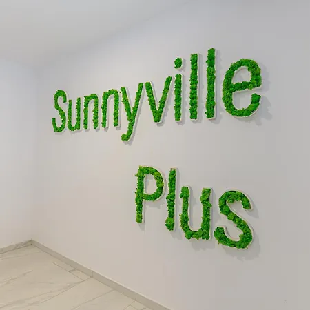 Sunny Loft & Parking 3 * Brasov