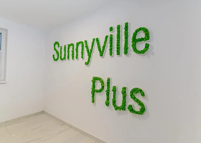 Sunny Loft & Parking 3 * Braşov